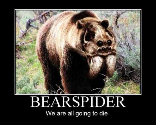 Motivational-style meme of a grizzly bear captioned BEARSPIDER