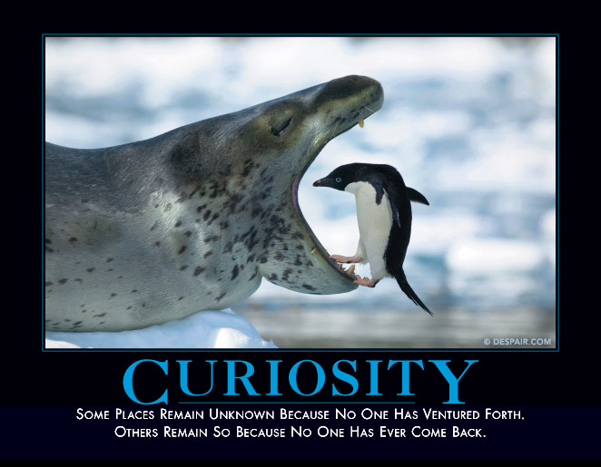 Curiosity

http://www.despair.com/