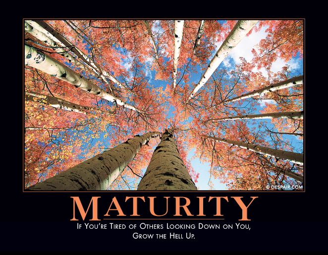 Maturity

http://www.despair.com/