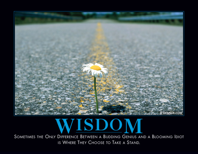 Wisdom

http://www.despair.com/