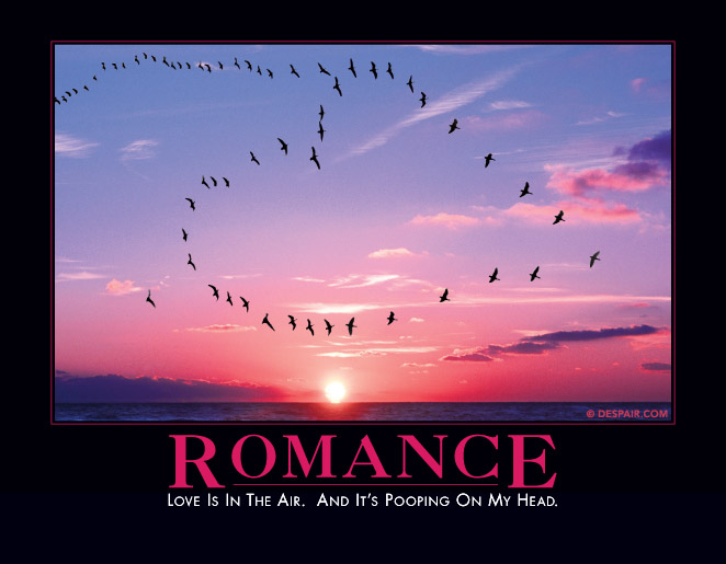 Romance

http://www.despair.com/