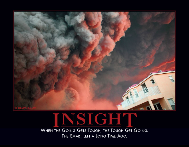 Insight

http://www.despair.com/