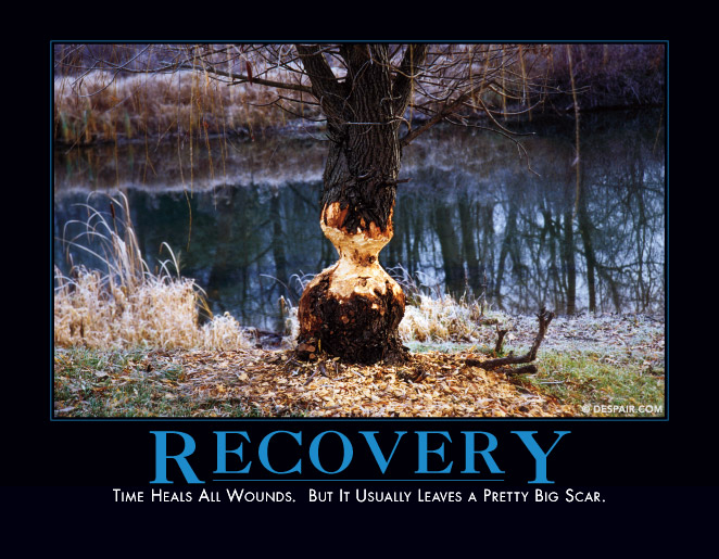 Recovery

http://www.despair.com/