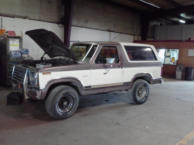 1982 Ford Bronco, two-tone brown and white, hood open, parked indoors