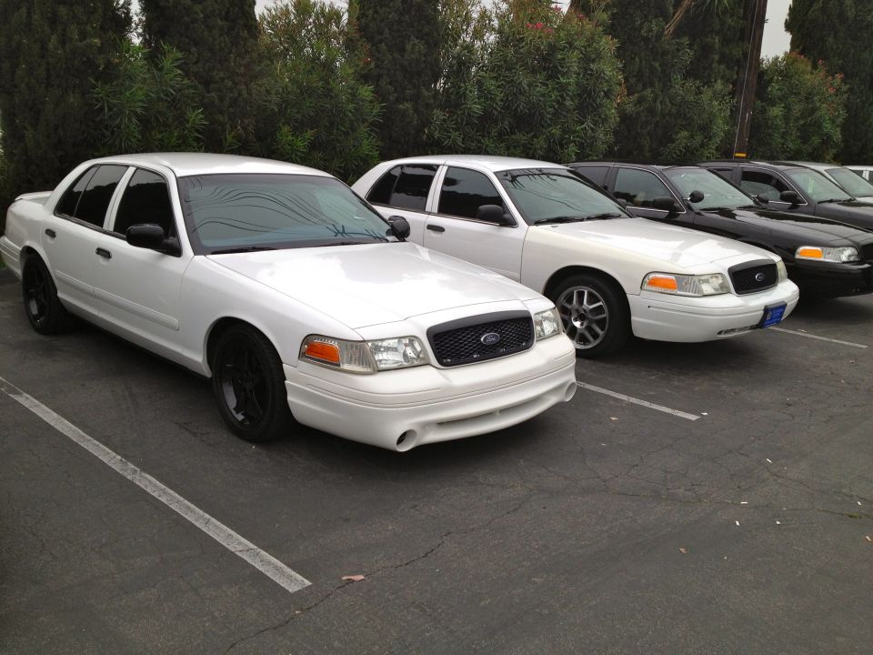 Two white Ford Crown Victoria police cars parked in a lot, with black cars behind them
