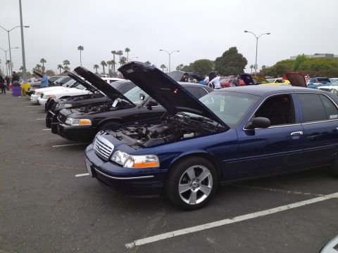 2004 Ford Crown Victoria - A line of Ford Crown Victorias, including a blue one with its hood open, are displayed at an event.