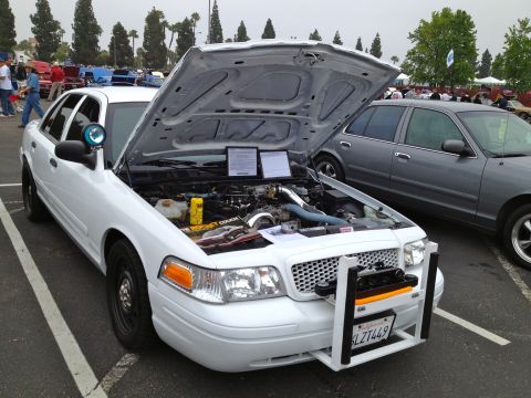2004 Ford Crown Victoria - A white police car is displayed with its hood open, revealing the engine compartment and a prominent push bar on the front.