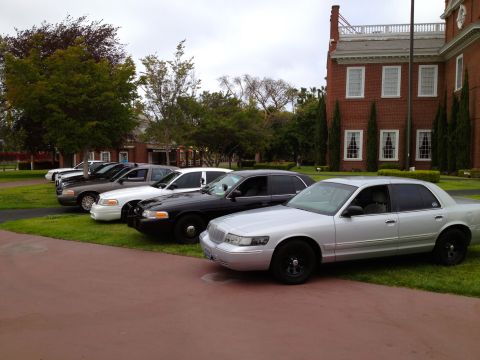 2004 Ford Crown Victoria - Multiple Ford Crown Victoria police cars are parked in a row on a grassy area next to a brick building.