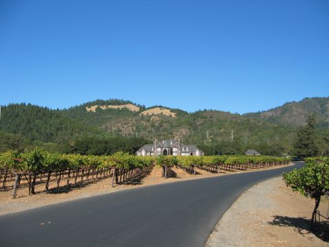 2002 Ford Taurus - A fresh two-lane asphalt road curving between rows of grapevines toward a stone winery chateau, with forested hills and clear blue sky behi…