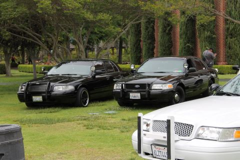 2004 Ford Crown Victoria - Two black police cars and a white police car are parked on a grassy area with trees in the background.