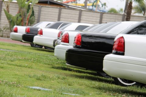 2004 Ford Crown Victoria - A row of black and white Ford Crown Victorias are parked on a grassy area, with a fence and palm trees in the background.