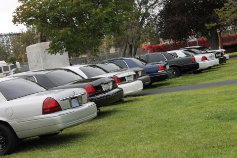 2004 Ford Crown Victoria - Multiple Ford Crown Victorias are parked in a row on a grassy area.