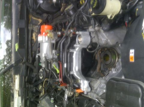 2000 Ford Crown Victoria - Engine bay of a 2000 Ford Crown Victoria, showing the distributor and wiring.