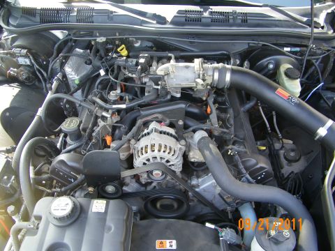 2003 Ford Crown Victoria - Front view of a V8 engine with alternator, belt and reservoir caps in the bay.