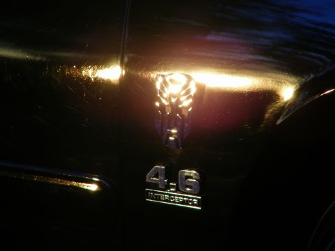 2003 Ford Crown Victoria - Close-up of a 4.6 Interceptor emblem with a winged chrome hood ornament on dark bodywork.