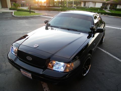 2003 Ford Crown Victoria - Overhead front view of a black Crown Victoria showing hood emblem and dark mesh grille.