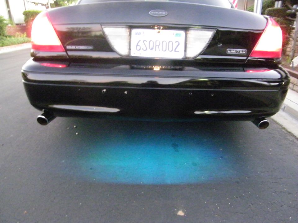 Black Ford Crown Victoria Police Interceptor rear, POLICE INTERCEPTOR badge, CA 6SQR002