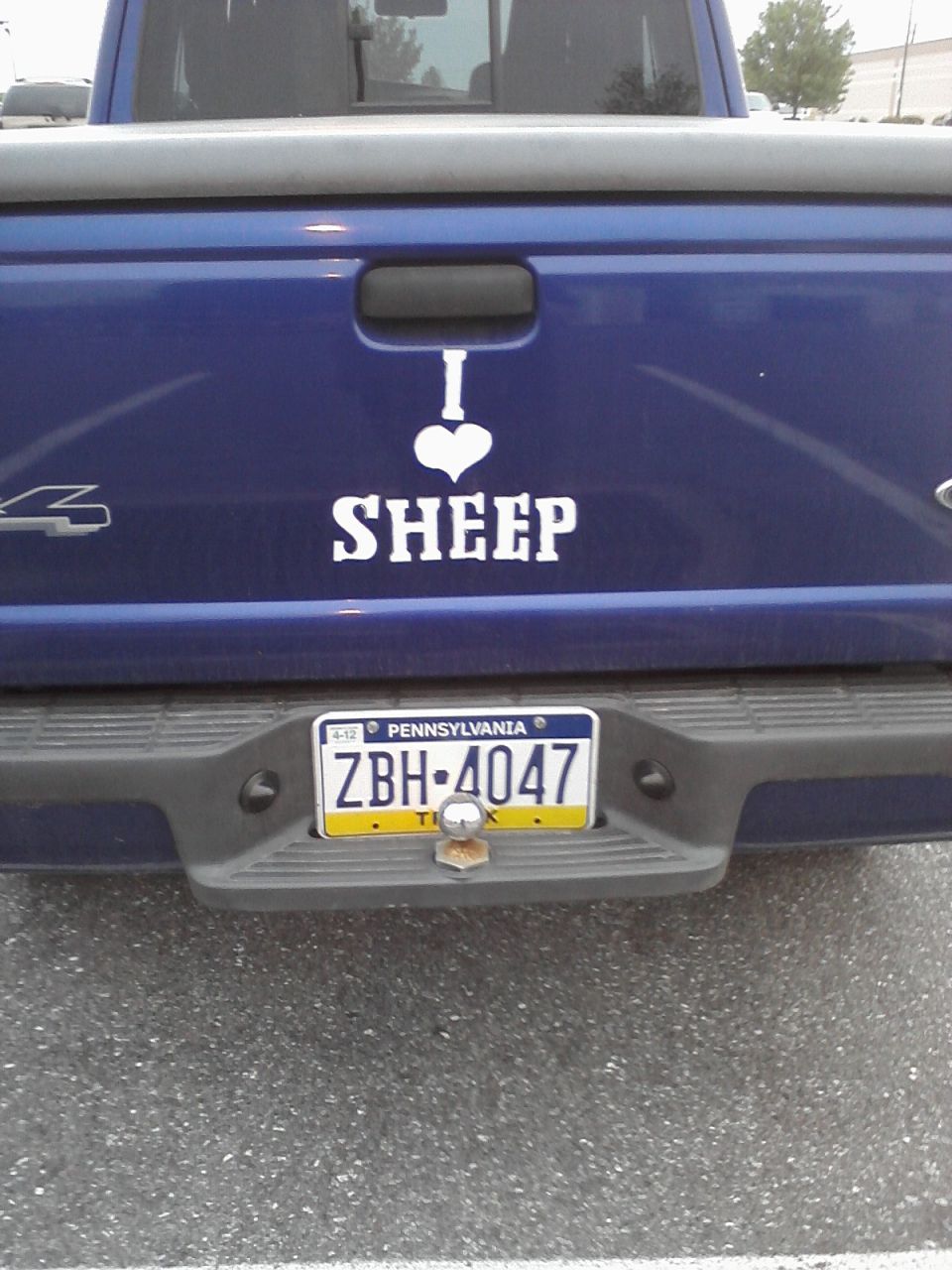 Blue pickup truck tailgate with 'I love SHEEP' sticker and Pennsylvania license plate ZBH-4047