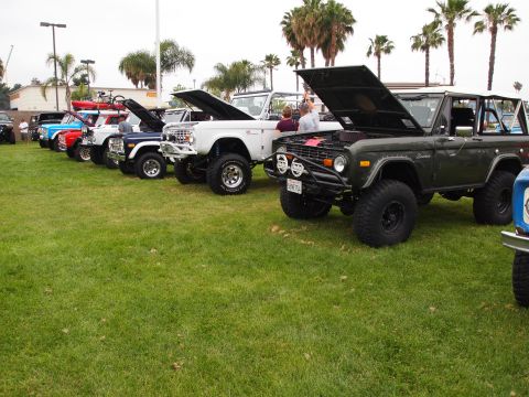 1994 Ford Bronco - Several Ford Broncos are lined up on a grassy field with their hoods open.