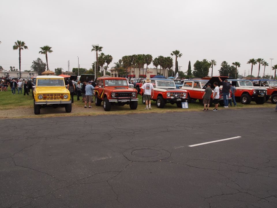 Several Ford Broncos parked in a row at an outdoor event. A yellow one is in front, followed by orange and red/white ones