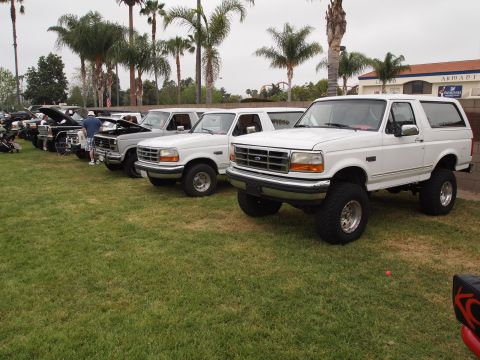 1994 Ford Bronco - Multiple white Ford Broncos are lined up on a grassy field under a cloudy sky.