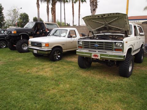 1994 Ford Bronco - Two lifted Ford trucks, a Bronco and a pickup, are parked side-by-side on a grassy lawn.
