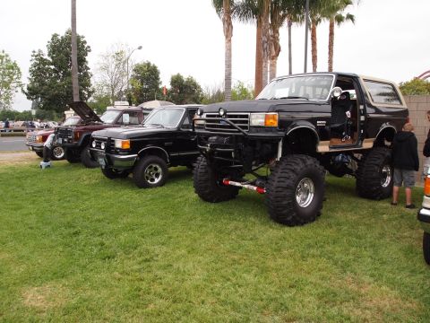 1994 Ford Bronco - A line of trucks and a custom Bronco are displayed on a grassy area with palm trees in the background.