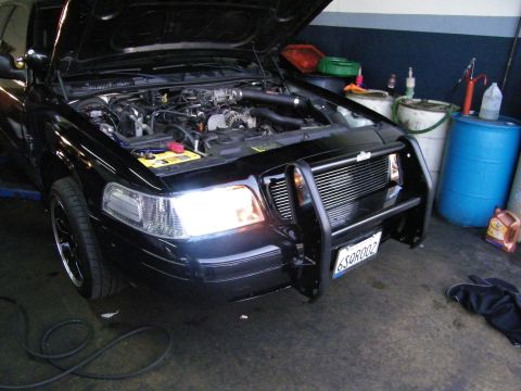 2003 Ford Crown Victoria - Black sedan on lift showing billet grille, push-bar guard and exposed engine bay