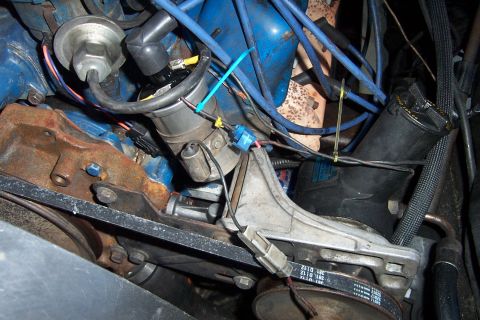 1980 Ford Bronco - Engine bay detail showing the distributor cap and associated wiring harness.