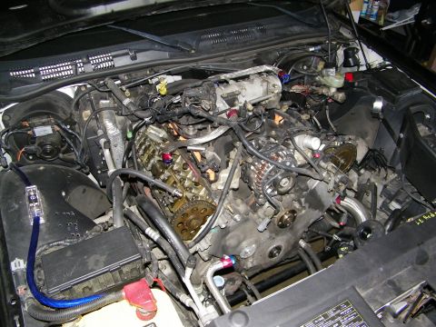 2003 Ford Crown Victoria - Engine teardown view with timing gears, intake manifold and wiring spread open