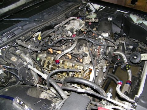 2003 Ford Crown Victoria - Garage engine compartment mid-rebuild with heads off and wiring harness draped
