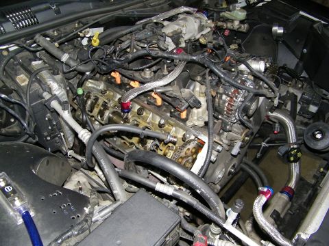 2003 Ford Crown Victoria - Workshop engine compartment opened up exposing head, valves and harness routing