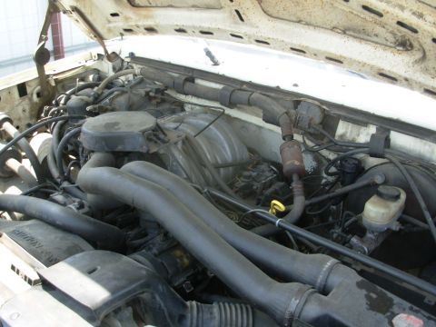 1983 Ford Bronco - '90 Custom PAP [url=http://www.supermotors.net/registry/media/918330] http://www.supermotors.net/getfile/918330/thumbnail/90bwh01.jpg
