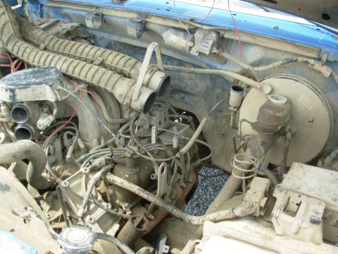 1983 Ford Bronco - '94 F150 PAP [url=http://www.supermotors.net/registry/media/918359] http://www.supermotors.net/getfile/918359/thumbnail/94f4bu01.jpg