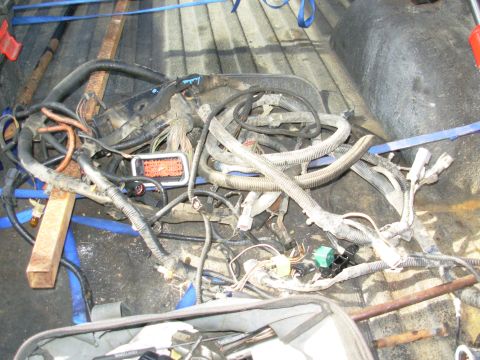 1983 Ford Bronco - Wiring Harnesses Engine harness from '93 F150 4.9L Frame harness from '93 EB Bronco
