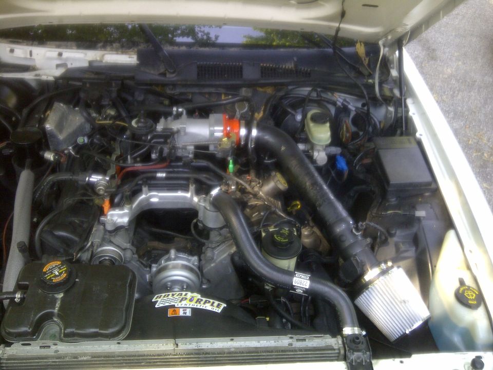 Engine bay with custom intake, intercooler piping, and 'Royal Purple' sticker