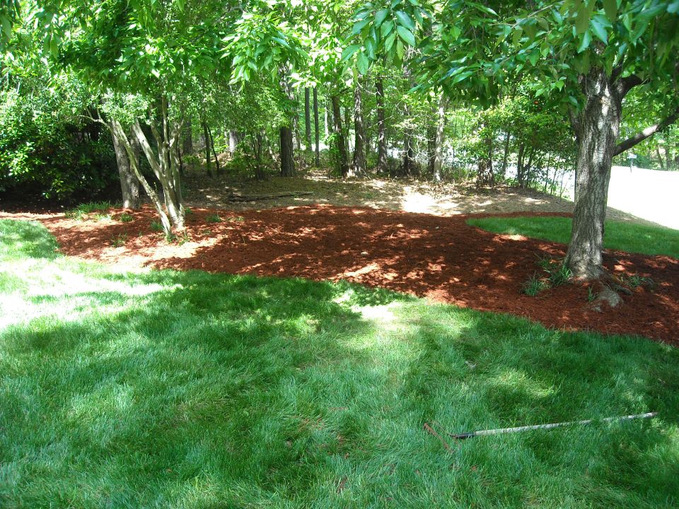 Yard with green grass, trees, and red mulch beds