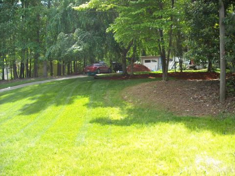 1979 Ford F-150 - Two vehicles are parked on a driveway in a wooded area, with a shed visible in the background.