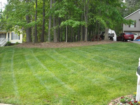 1979 Ford F-150 - A red sedan and a dark truck are parked on a residential property with a freshly mowed lawn.