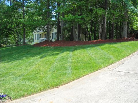 1979 Ford F-150 - A yellow house with a white-trimmed porch is visible through trees, set against a backdrop of a well-maintained lawn and driveway.