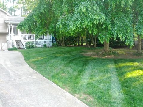 1979 Ford F-150 - A residential yard features a mowed lawn, a concrete driveway, and a house with a screened porch and white railings.