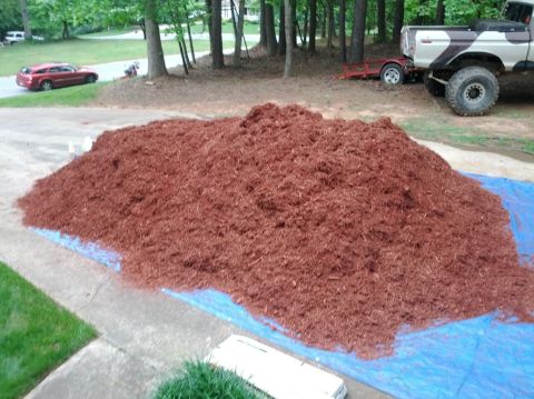 1979 Ford F-150 - A large pile of red mulch covers a blue tarp, with a red car and a pickup truck visible in the background.