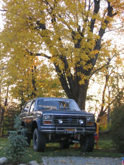 1986 Ford Bronco - 1986 Ford Bronco in front of a tree during autumn.