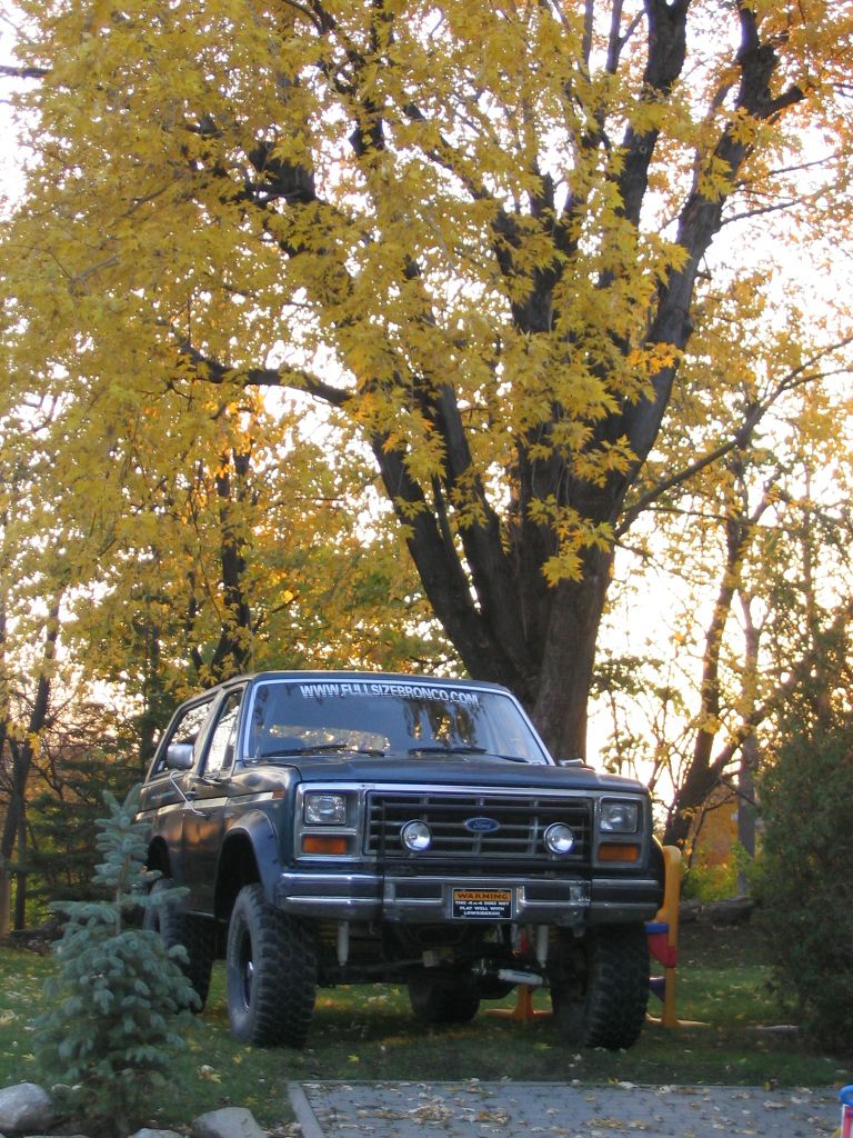 1986 Ford Bronco parked in front of a tree with yellow leaves