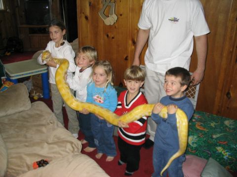1986 Ford Bronco - Several children proudly display a large albino python, with an adult supervising the unusual pet.