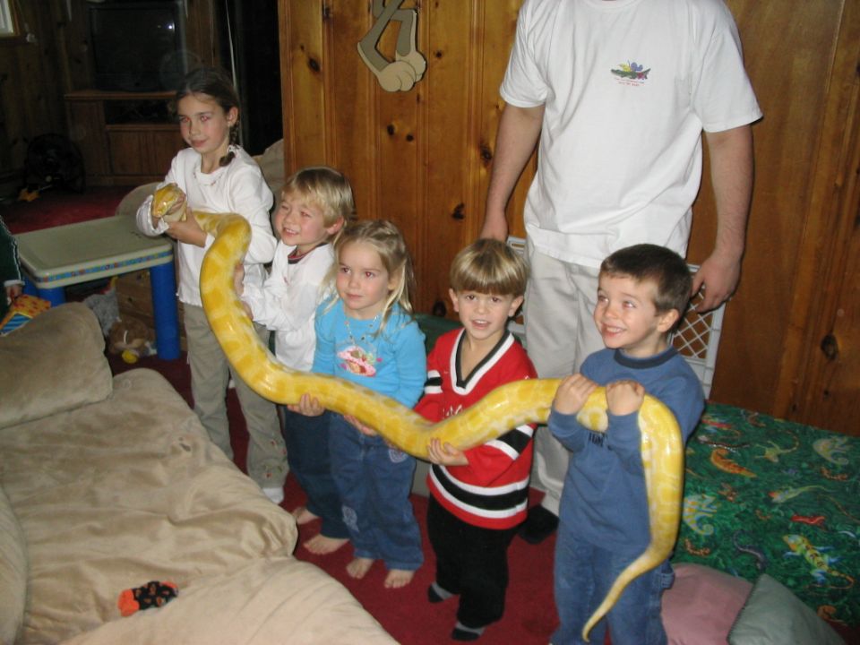 Kids holding a long yellow snake indoors. One adult stands behind them