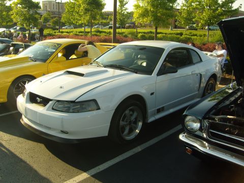 2007 Ford Mustang - A white Ford Mustang coupe with a hood scoop is parked at a car show, with a yellow Mustang visible to its left.