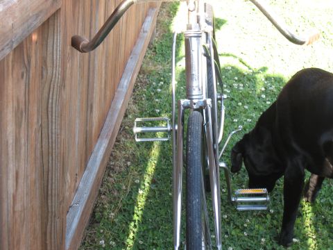 1994 Ford Bronco - A bicycle is parked next to a wooden fence with a black dog nearby.