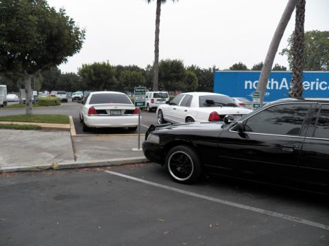 2003 Ford Crown Victoria - Parking lot with white and black full-size sedans near a moving truck and palm trees