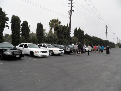 2003 Ford Crown Victoria - Outdoor meet showing a line of full-size sedans with a group of people on asphalt
